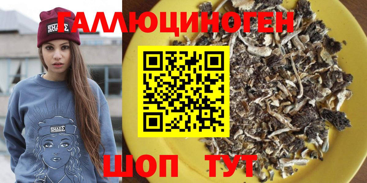 Лосино-Петровский  Галлюциногенные грибы Magic Shrooms  Вход с VPN  Псилоцибиновые грибы Psilocybine cubensis 
